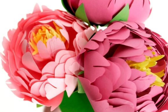 3D Paper Peony SVG Flower Templates