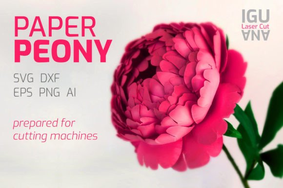 Lush 3D Paper Peony SVG Templates