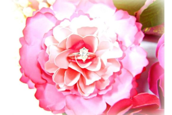 Angel Cheek Paper Peony SVG Bloom