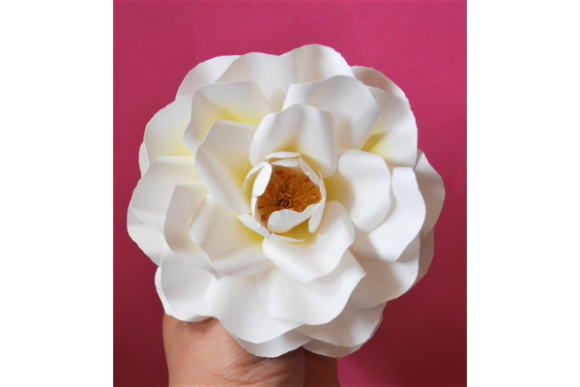 Aprikola Paper Rose SVG Template