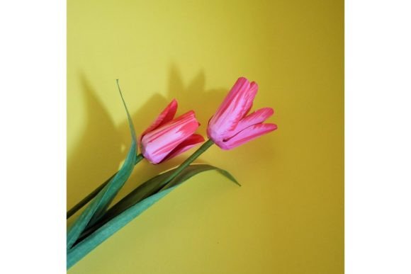 Soft Paper Tulip SVG Floral Accent