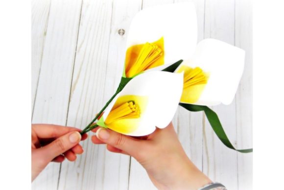 Calla Lily Paper Flower SVG