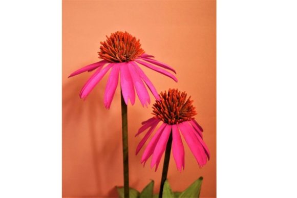 Echinacea Paper Flower SVG Craft