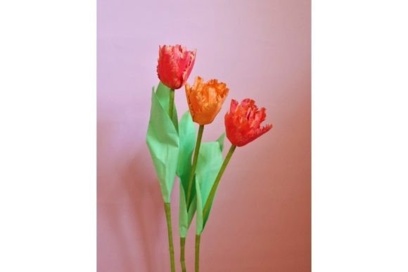 Double Fringed Paper Tulip SVG Decor