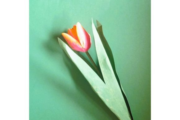 Double Paper Tulip SVG Floral Decor