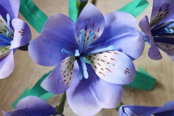Alstroemeria Paper Flower SVG Lily