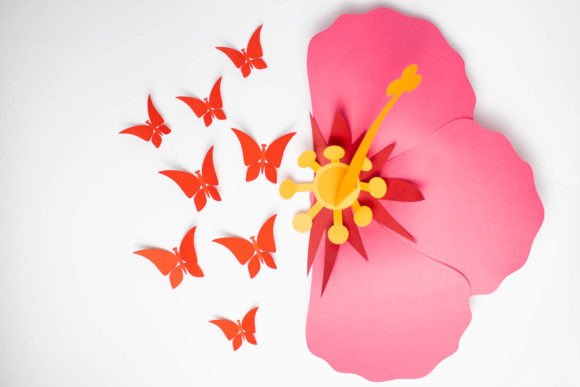 Hibiscus Paper Flower Wall Decor SVG Butterflies