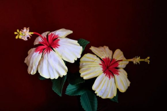 Hibiscus Paper Flower Centerpiece SVG Templates