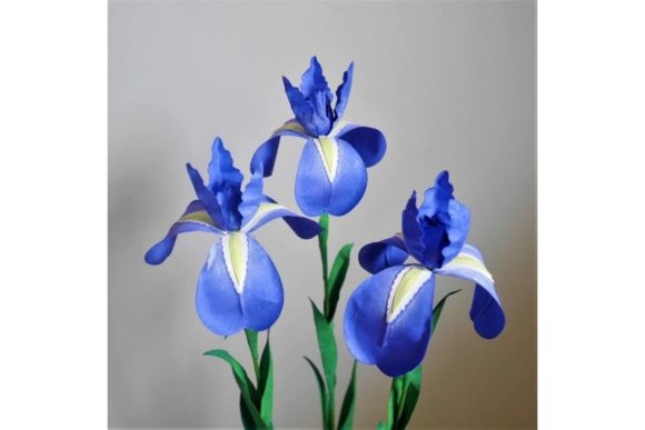 Japanese Iris Paper Flower SVG Template