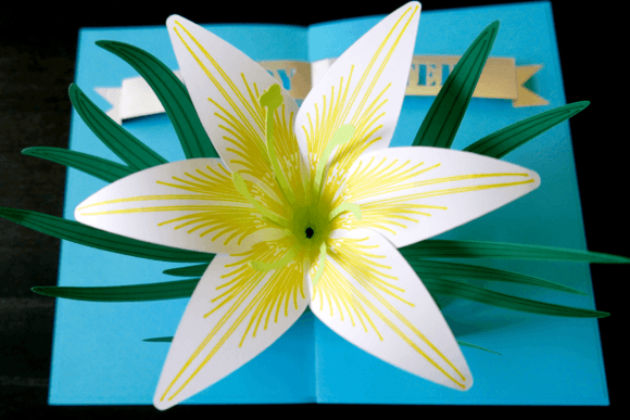 Lily Bloom Birthday Pop Up Card Svg