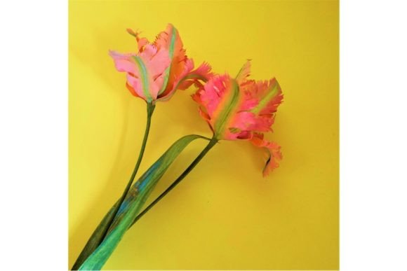 Open Paper Tulip SVG Spring Accent
