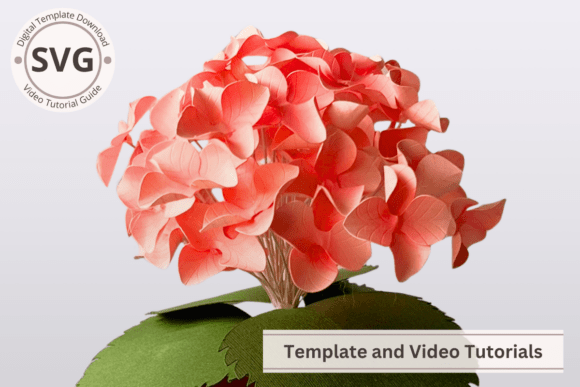 Hydrangea Paper Flower SVG In 3D