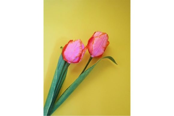 Parrot Paper Tulip SVG Home Decor