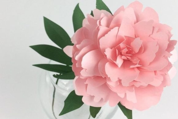 Layered Paper Peony SVG Flower Craft
