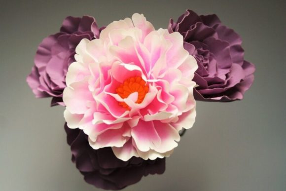 Shrub Paper Rose SVG Flower Template