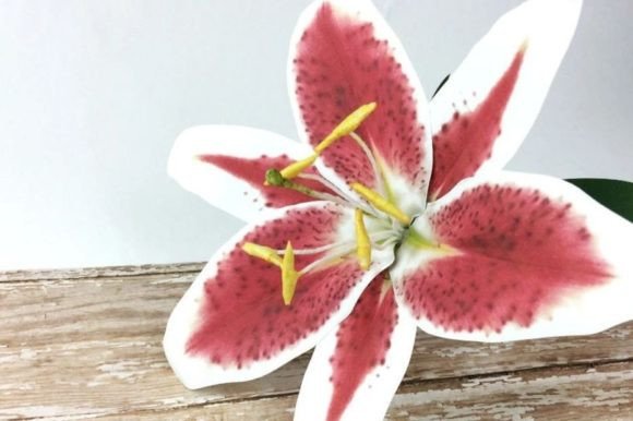 Stargazer Lily Paper Flower SVG Template