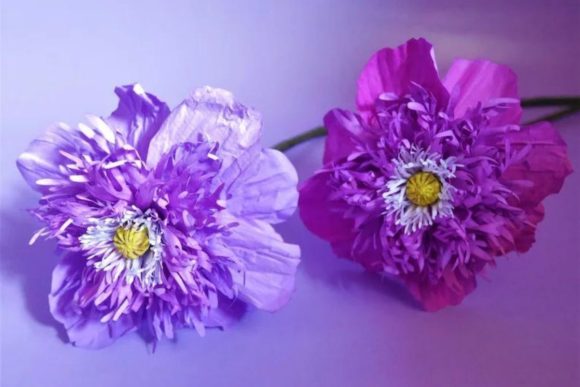 Sugar Plum Paper Flower SVG Poppy