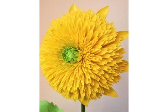 Sungold Paper Sunflower Svg Bloom