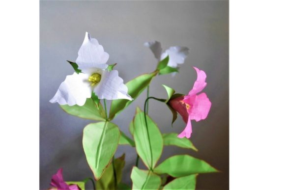 Trillium Paper Flower SVG Design