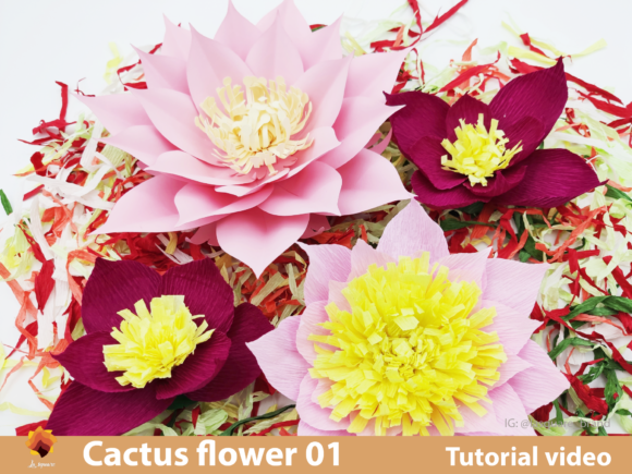 Cactus Bloom Giant Flower SVG Backdrop