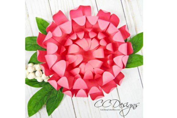 Chrysanthemum Giant Paper Flower SVG Filler