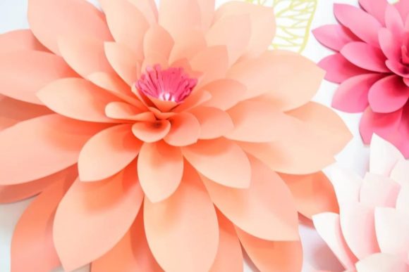 Dahlia Emma Giant Flower SVG Template