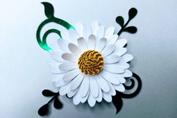 White Gerbera Paper Daisy SVG Gift Bloom