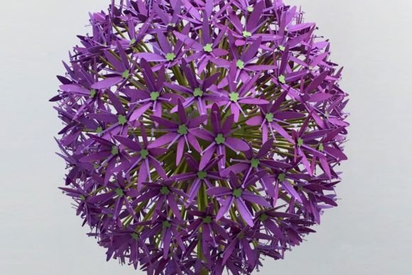 Allium Bloom Giant Flower SVG Template
