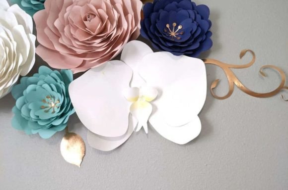 Orchid Giant Flower SVG Botanical Template