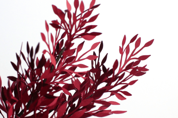 Foliage Fall Leaves SVG Fillers