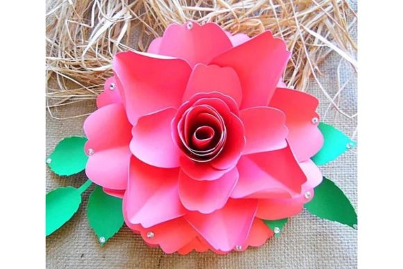 Scarlett Rose Giant Flower SVG Template